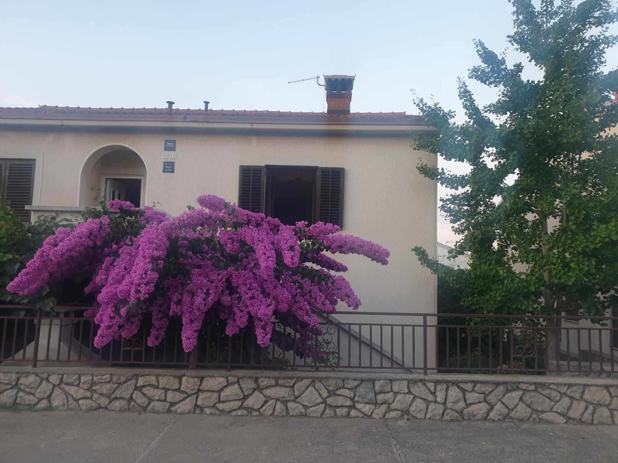 Apartments Mara Mali Lošinj Buitenkant foto